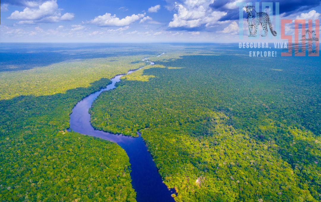 Floresta Amazônica